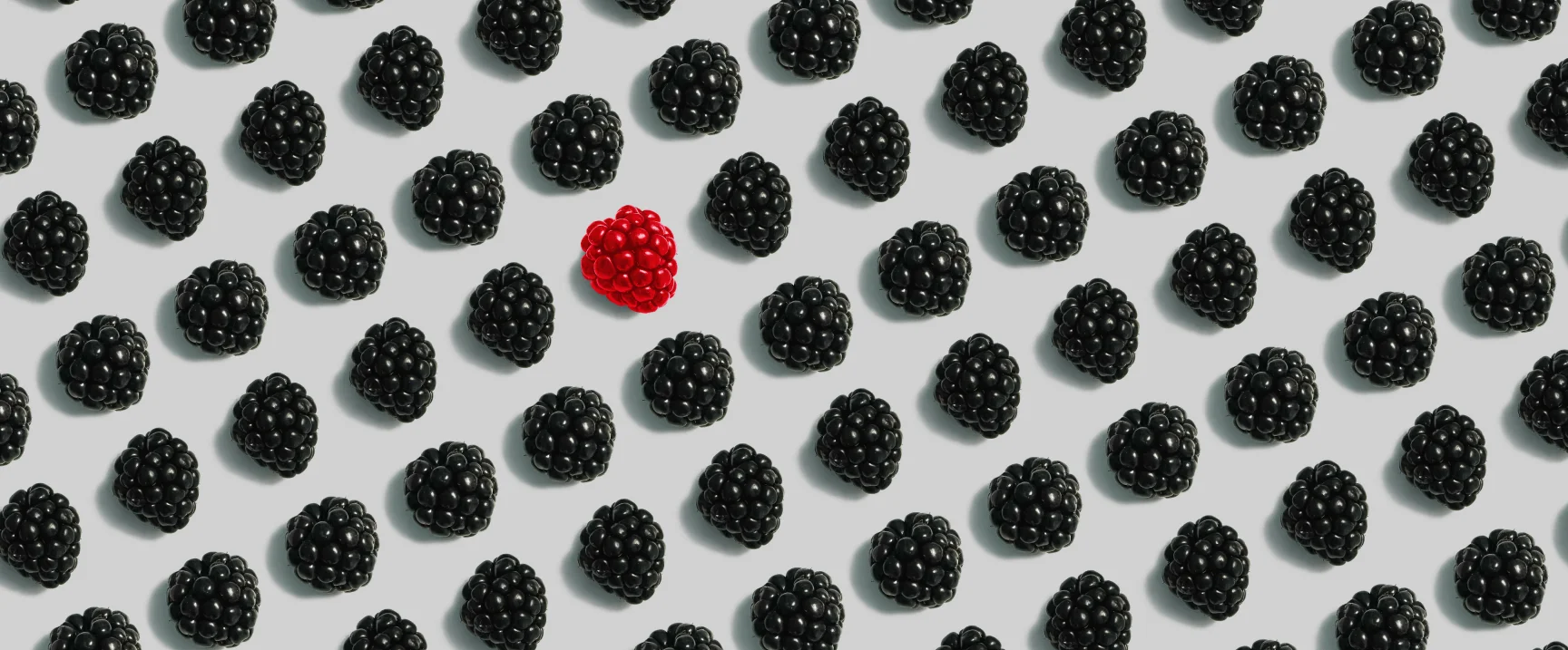Black berries with one single red berry - for partner digital marketing services